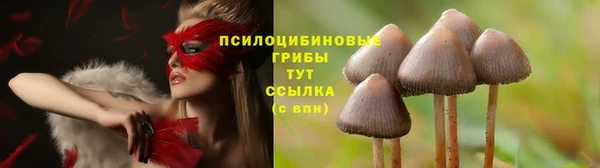мяу мяу мука Алзамай