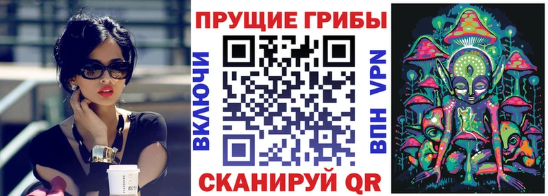 как найти закладки  Заводоуковск  Псилоцибиновые грибы Psilocybine cubensis 