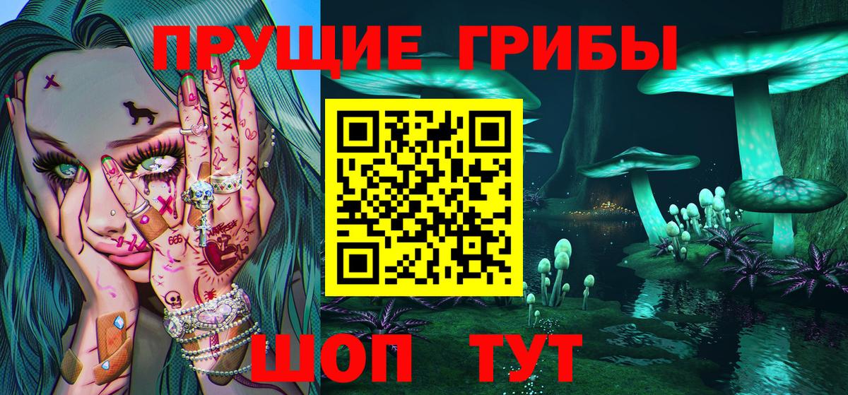 хочу   Вход с VPN  Галлюциногенные грибы Psilocybe  Заводоуковск  Галлюциногенные грибы прущие грибы 