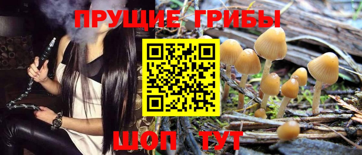 Галлюциногенные грибы Magic Shrooms Заводоуковск